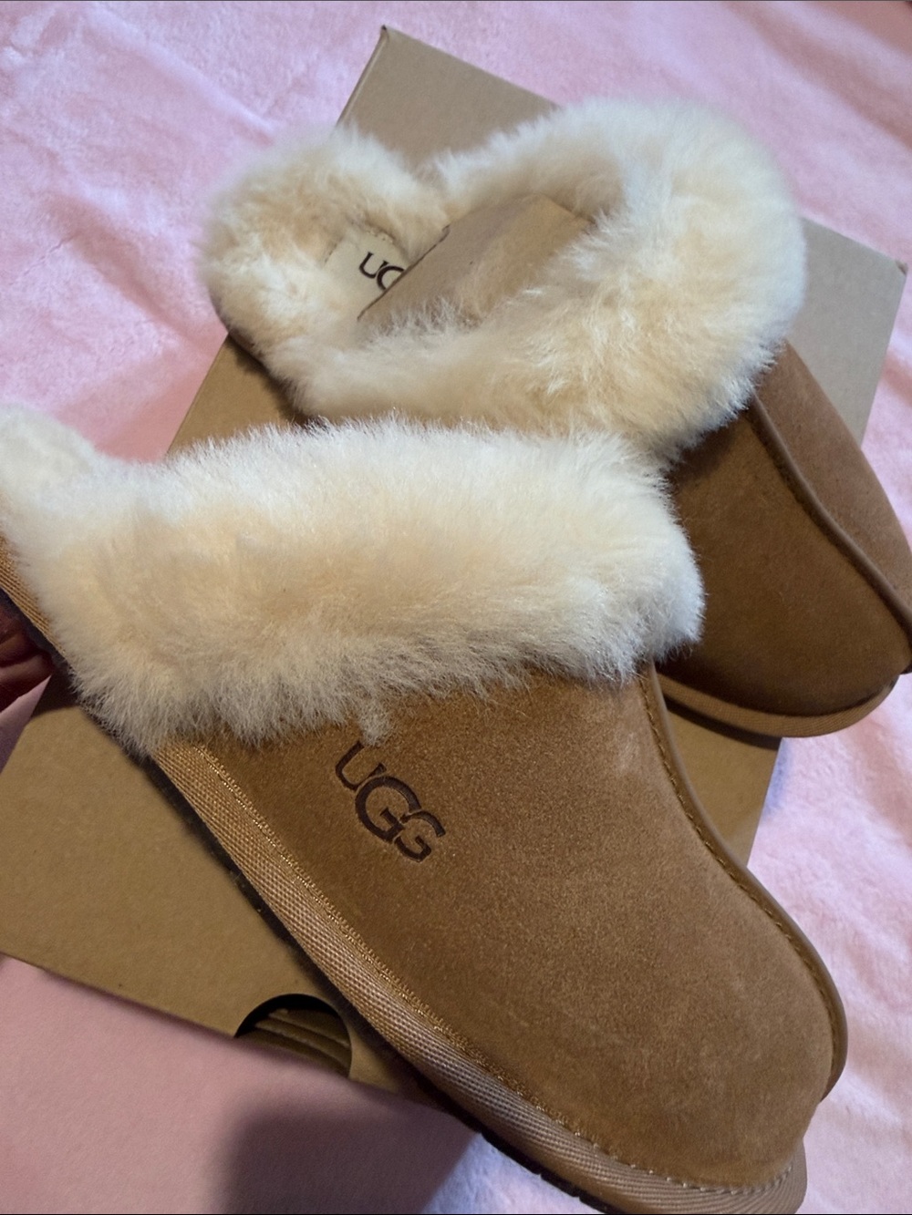 UGG Chestnut Scuffette Slippers